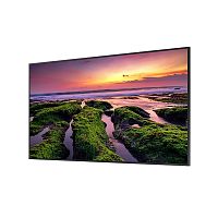 Профессиональный дисплей Samsung QB55B-E 55"