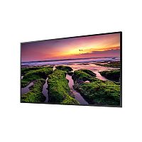 Профессиональный дисплей Samsung QB43B-E 43"